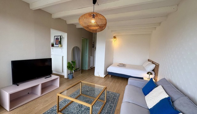 Bright studio apartment with balcony