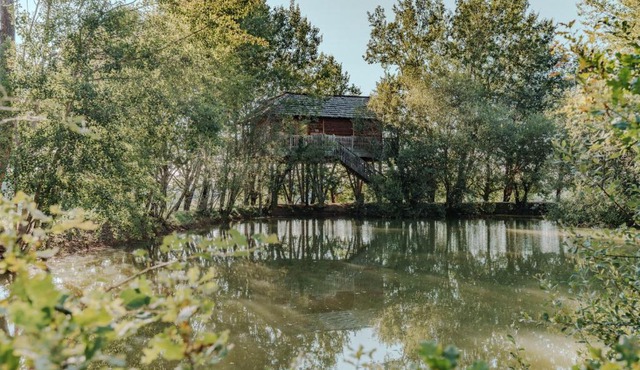 cabanes perchees dans les arbres