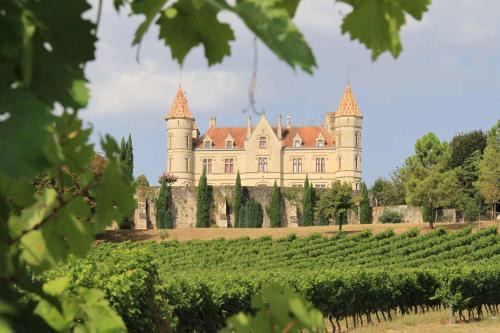 Château Moncassin Gites & Chambres D'Hôtes