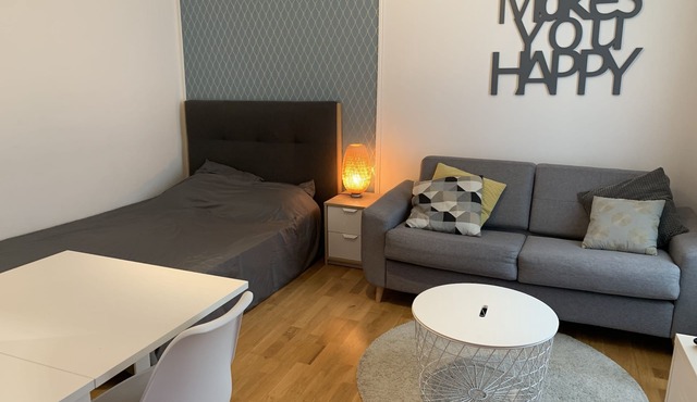 Comfort and calm in the heart of Annecy (30m2 hyper center)
