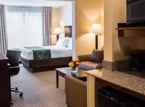 Comfort Suites University Area Notre Dame-South Bend