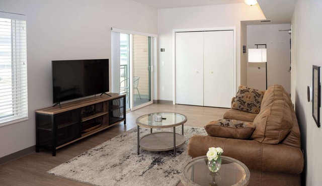 Contemporary Apartment with Balcony - Steps from Mayo Clinic, Free Parking!
