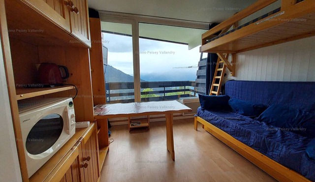 Cozy studio for 2 with balcony in Plan Peisey
