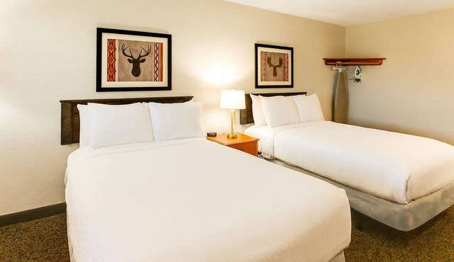 Deluxe 2 Double Beds in Stoney Creek Peoria! Free Breakfast Stay by the I-74