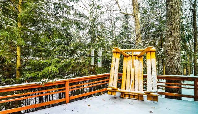 Dog-friendly cabin on Lac Vieux Desert Lake with patio & free WiFi