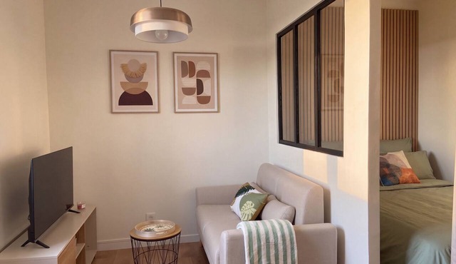 Elegant, cozy studio apartment—right in the heart of Haguenau—close to all amenities