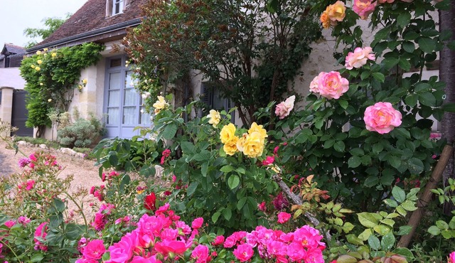 GITE, CHARMING HOUSE CLASSIFIED 3 STARS IN AMBOISE overlooking the Loire