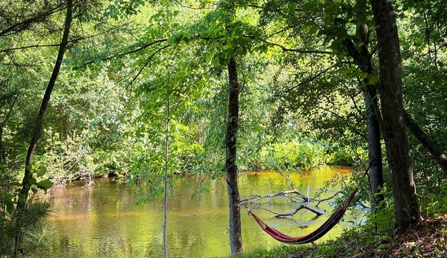 Hidden River Cabin. Time Travel, Relax and Unplug