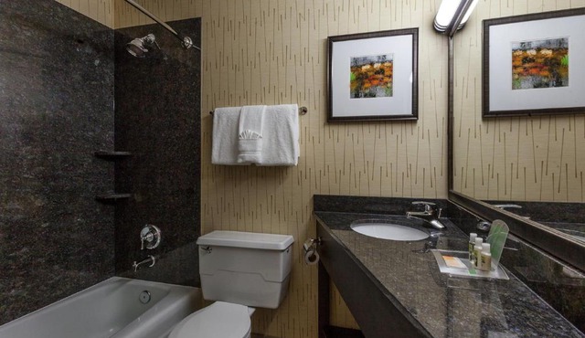 Holiday Inn Chicago North-Evanston by IHG