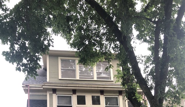 Large 4 level frame home on leafy street in Chicago