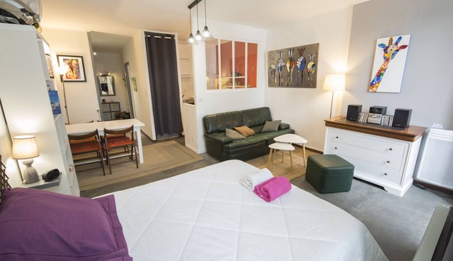 Large studio 36m2 facing south and bordering Place Marcadieu