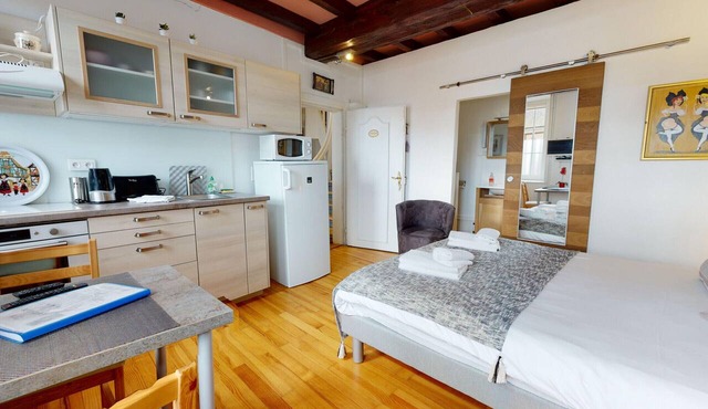 Le studio bartholdi with access to lounge