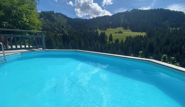 Luxury Mountain Chalet in Unique Setting 15 minutes from Megeve