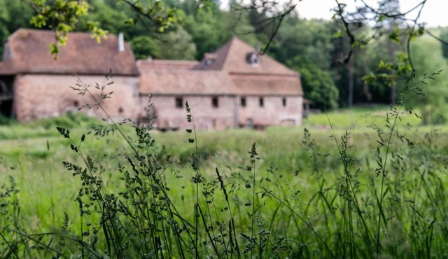 Maison d'hôtes La Paulusmühle Ancien moulin en pleine nature