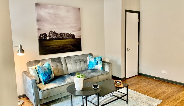 MODERN COMPLETELY REMODELED Bright, Spacious Flat STEPS from Wrigley Field &Bars