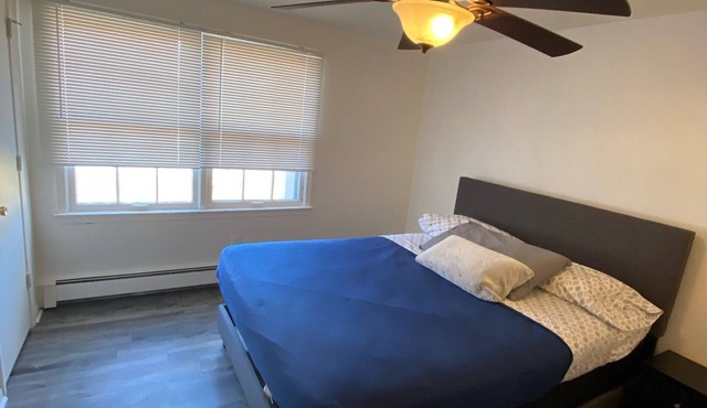 Newly Remodeled Glamorous and Modern Apartment