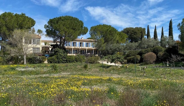 Olivade: From the Countryside to the City in Aix-en-Provence
