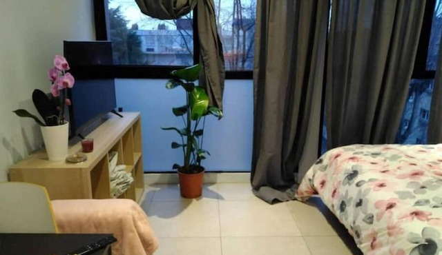 Orchid Studio in Cachan