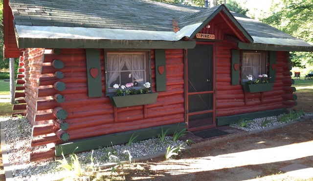 Pine Log Cabin - Ellis Lake Resort - Interlochen/Traverse City