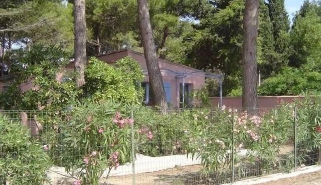 PROMO! The franqui cottage under the pines in charming village