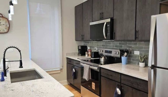 Renovated 3 Bedroom Chicago Downtown Pilsen