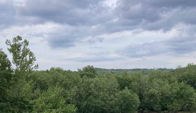 Riverfront Current River Cabin in Van Buren Mo! in Van Buren