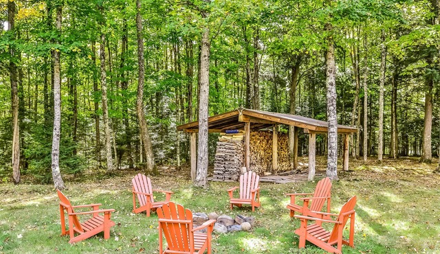 Secluded 26-acre hideaway near trails & fishing lake - wood stove, WiFi, dogs OK