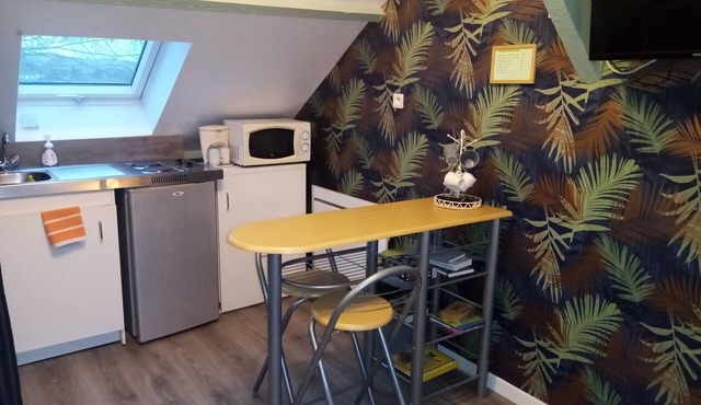 SMALL ATTIC STUDIO FOR 2 PEOPLE