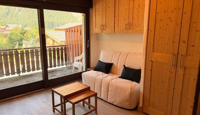 South studio 4 pers, pets allowed, sunny terrace