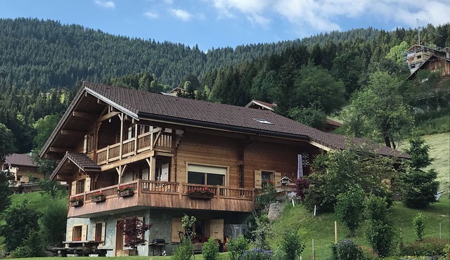 Spacious 4 * chalet with mountain views, jacuzzi and sauna, terrace