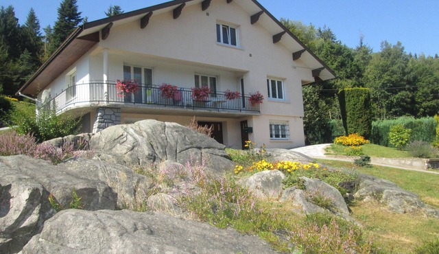 Spacious, quiet gîte near the Saint-Amé forest in the Vosges mountains