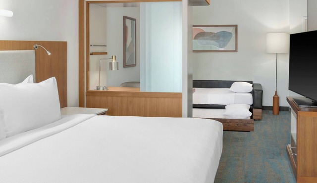 SpringHill Suites Detroit Auburn Hills