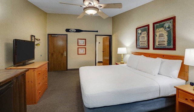 Stoney Creek Moline | 1 King Bed | 4.5 mi to Putnam Museum and Science Center
