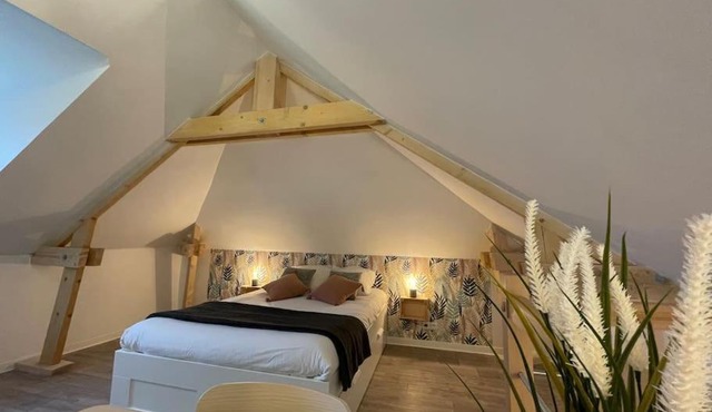 Thuit de l'Oison - Magnifique appart F2 duplex