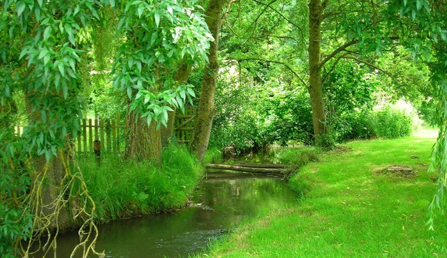 Tranquil riverside cottage in grounds of watermill.