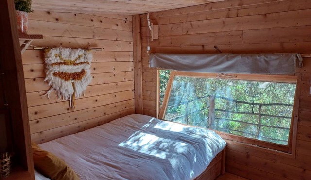 Unique Cabin