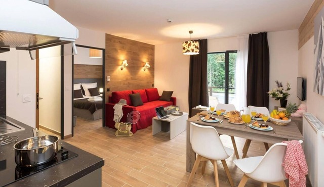 Wifi, fitness, swimming pool, sauna, hammam, parking, tv, 49m², Chamonix