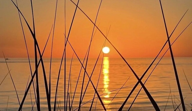 Your private beach. The week sells fast so book your Lake Michigan get away now!