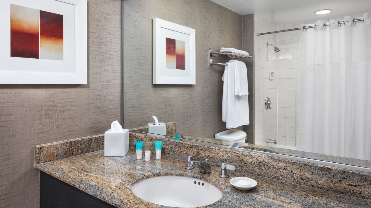 Photo of Bathroom in Rosemont