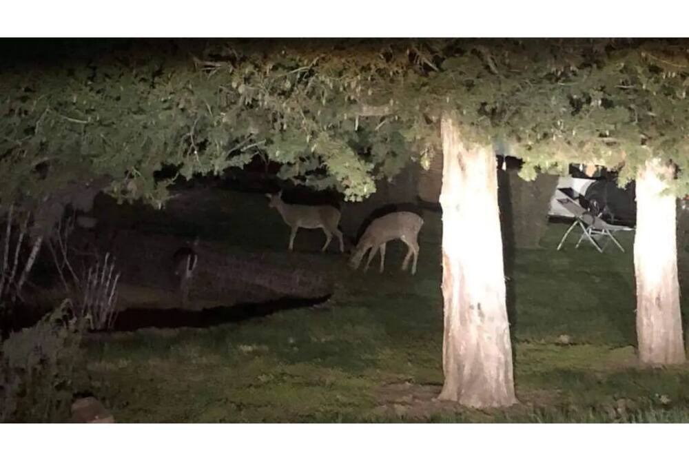 Photo of Outdoor in Bellevue