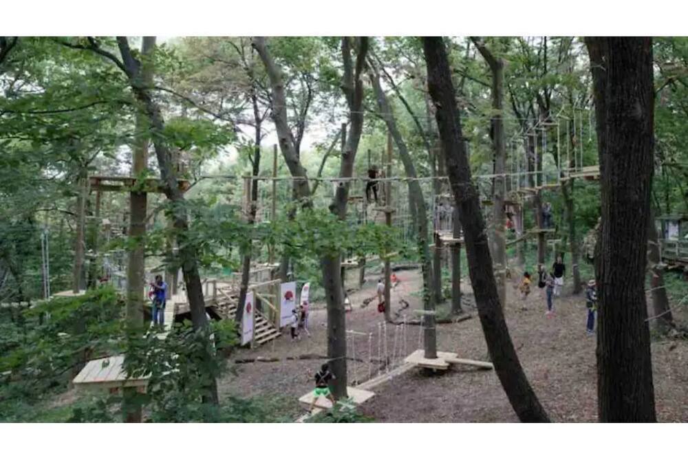 Photo of Outdoor in Bellevue