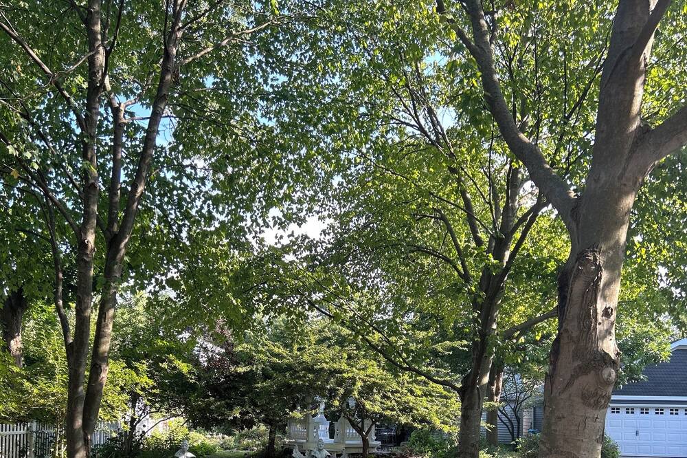 Photo of Outdoor in Ottawa