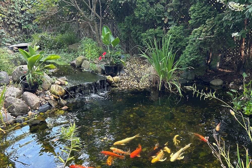 Photo of Outdoor in Ottawa