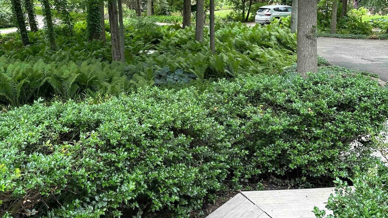 Photo of Outdoor in Beechwood