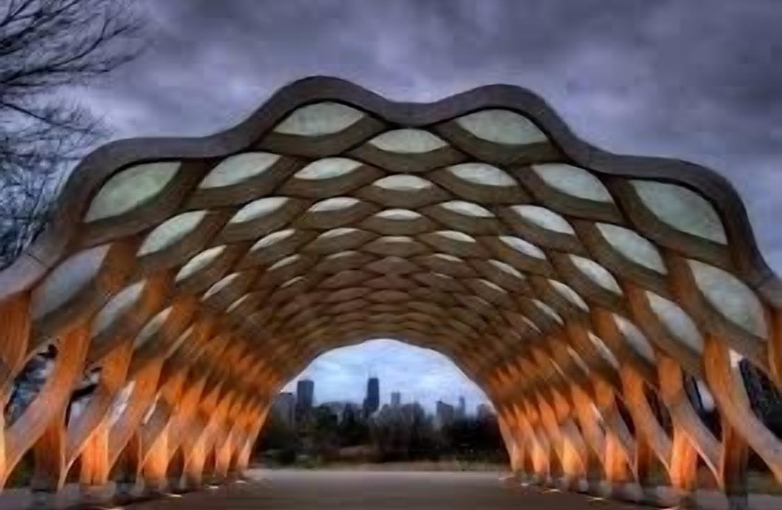 Photo of Others in Lincoln Park