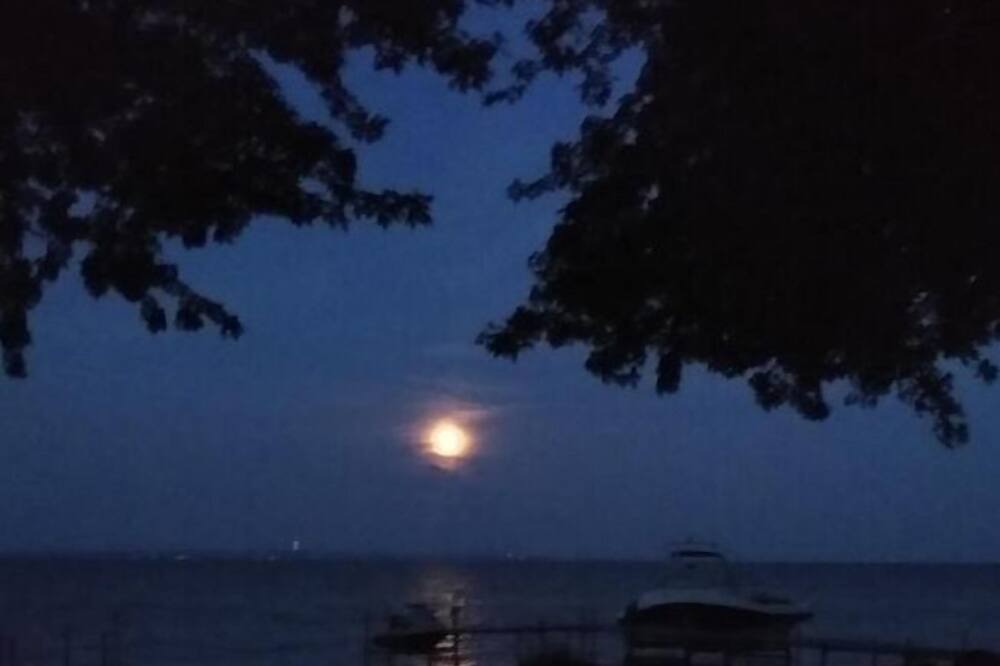 Photo of Others in Neenah