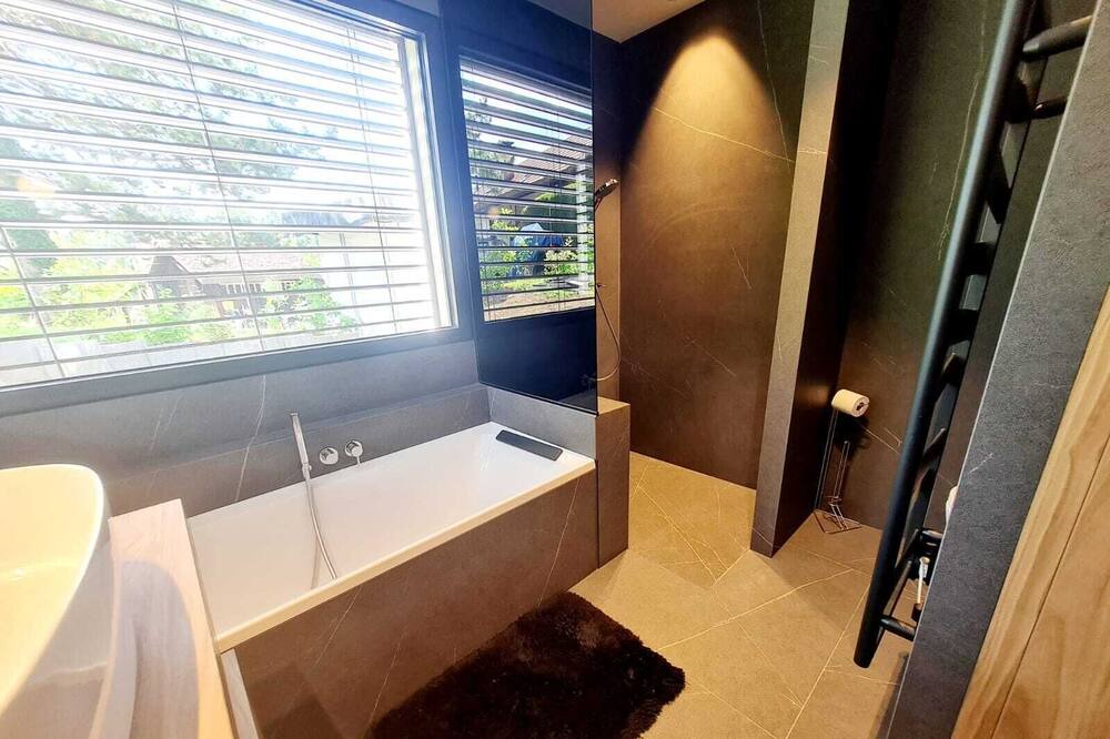 Photo of Bathroom in Menthon-Saint-Bernard