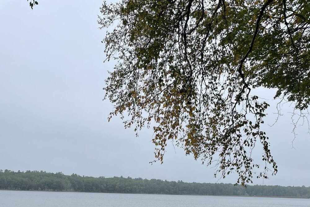 Photo of Outdoor in Whitehall