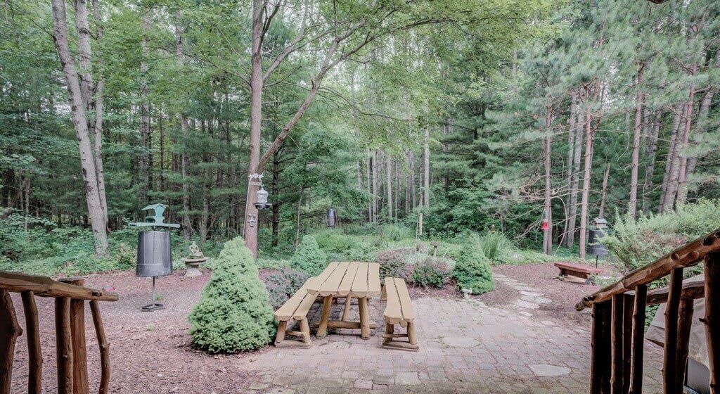 Photo of Outdoor in Newaygo