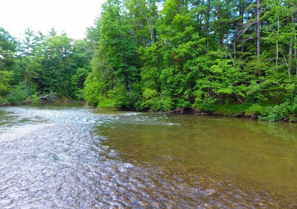 Photo of Outdoor in Newaygo